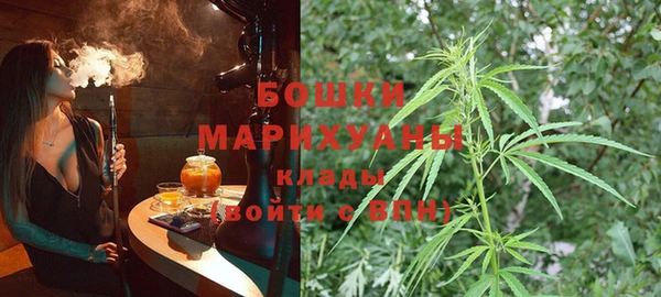 шишки Алзамай
